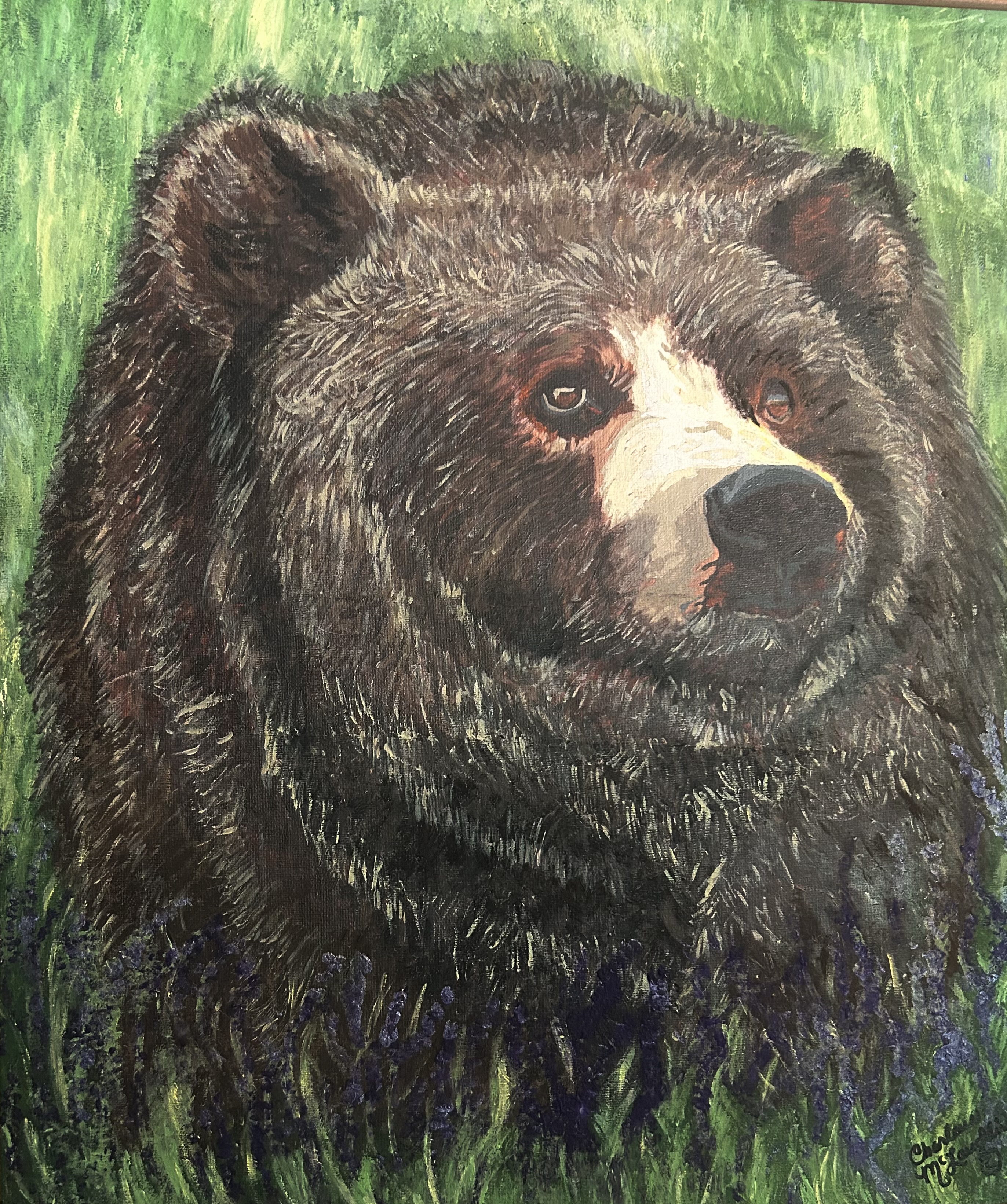 GRIZZLY_399_YELLOWSTONE_BEAR